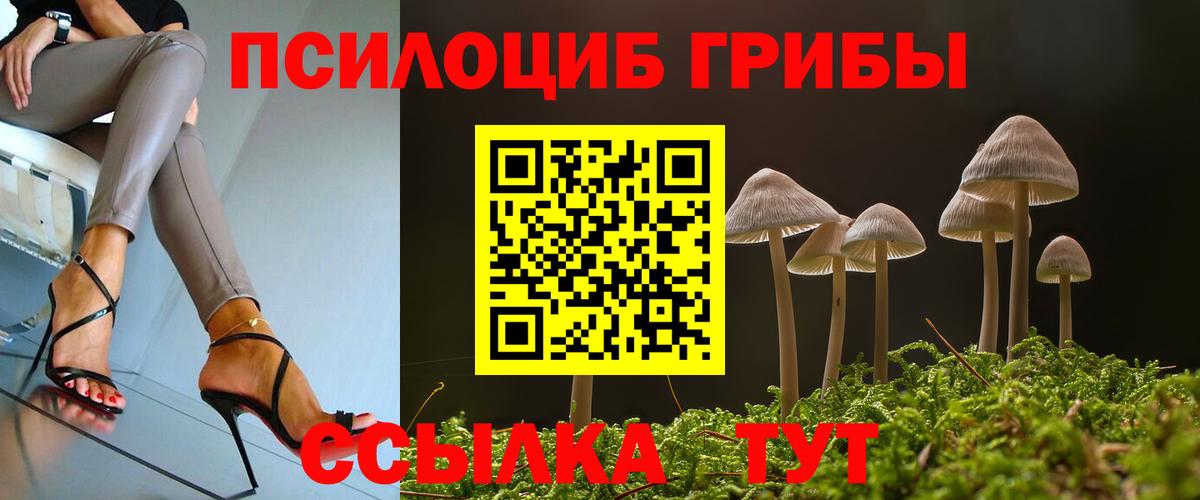 Псилоцибиновые грибы Cubensis Надым